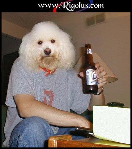 � la tienne!  loll